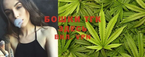 мескалин Ельня